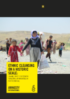 Iraq_ethnic_cleansing_final_formatted_amnesty